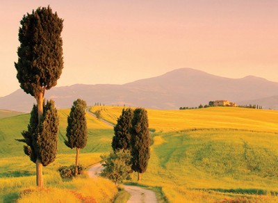 Select Italy Survey