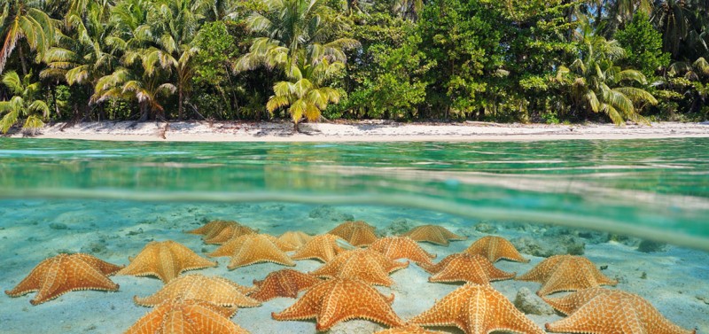 Destination - Panama